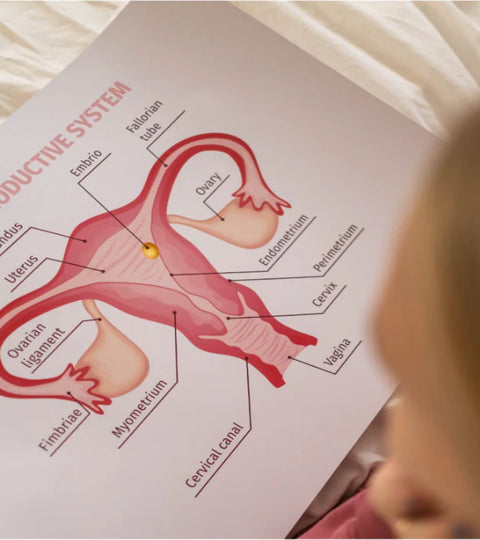 menstrual education is important