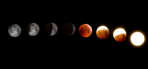 The Many Phases of Your Menstrual Cycle
