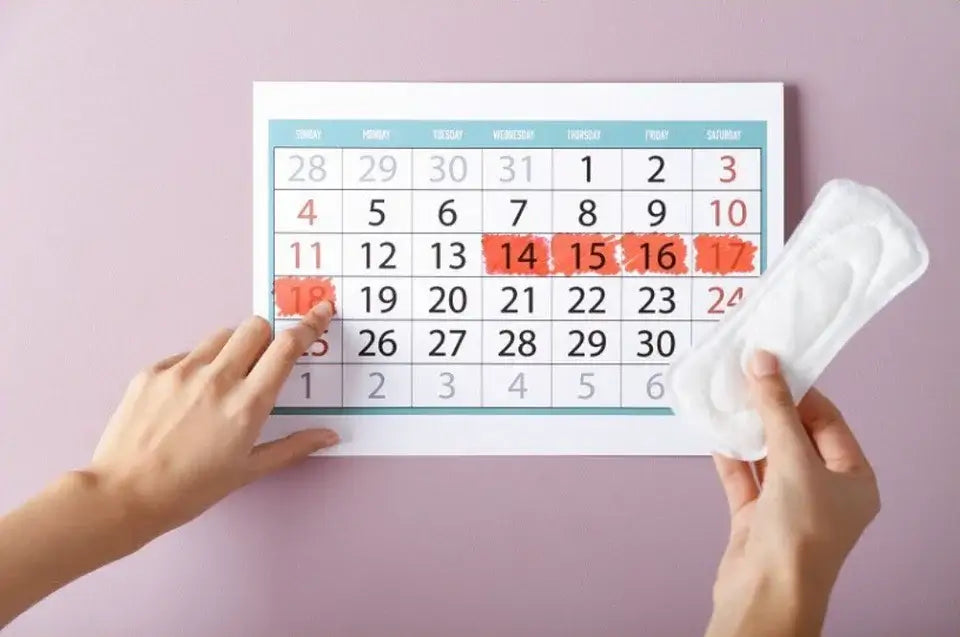 Learning and Teaching about the Menstrual Cycle