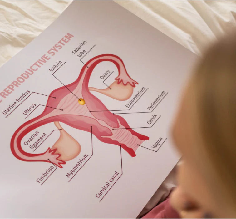 menstrual education is important
