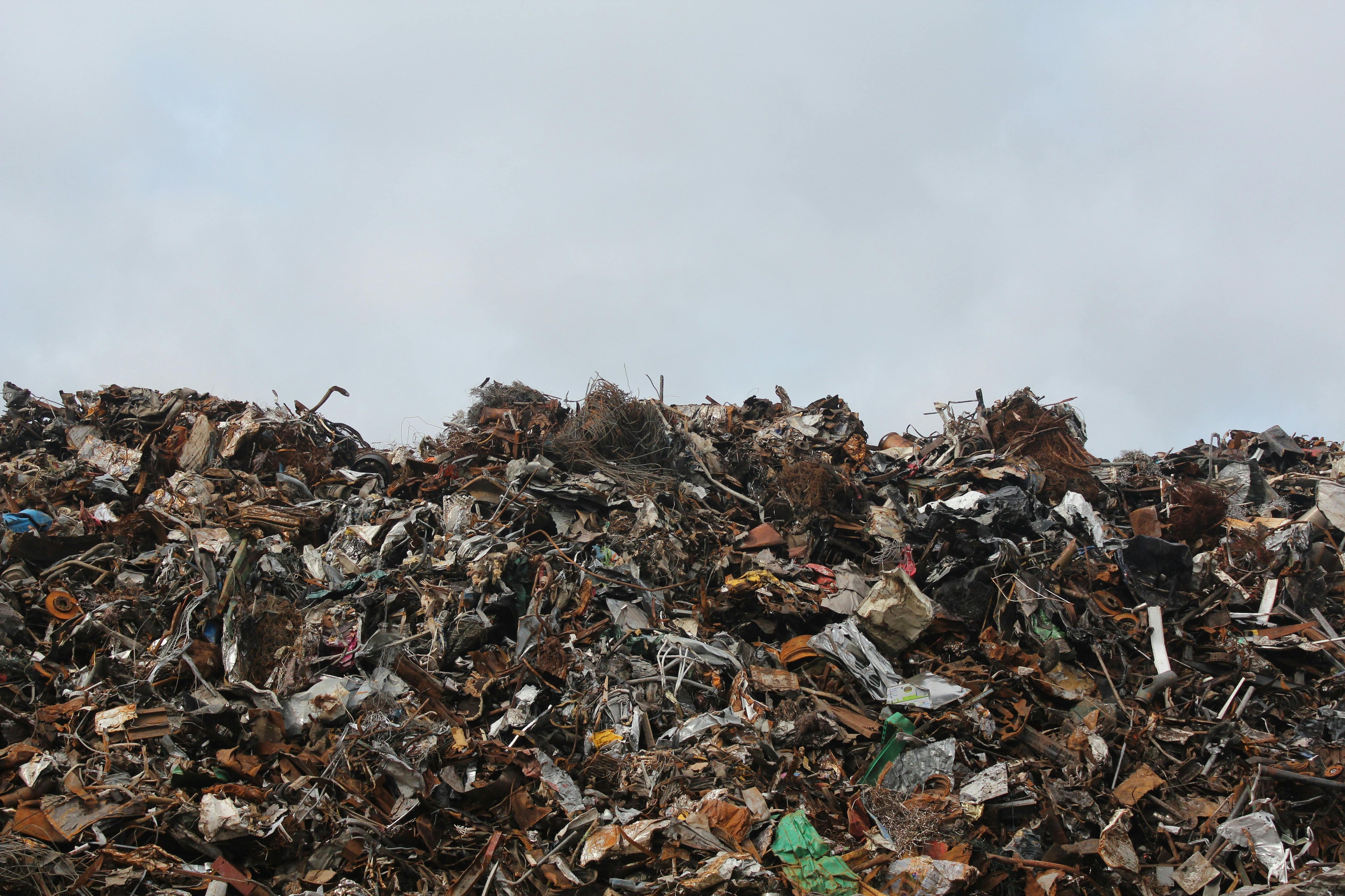 TikTok Shop Causes Too Much Waste: How to Stop Overconsumption