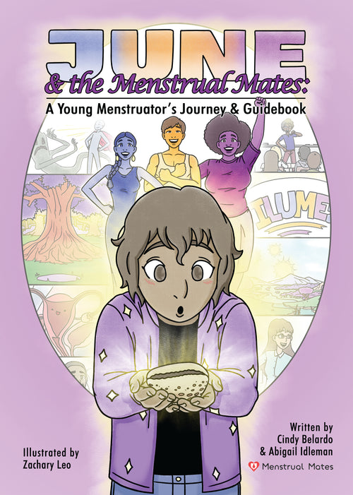 mesntraul journey and guidebook